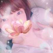 ヒメ日記 2025/02/18 12:10 投稿 にゃん 熟女の風俗最終章 宇都宮店