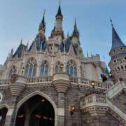 ヒメ日記 2025/02/25 07:45 投稿 にゃん 熟女の風俗最終章 宇都宮店