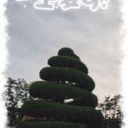 ヒメ日記 2025/02/25 09:49 投稿 にゃん 熟女の風俗最終章 宇都宮店