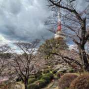 ヒメ日記 2025/04/05 08:11 投稿 にゃん 熟女の風俗最終章 宇都宮店