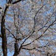 ヒメ日記 2025/04/07 08:01 投稿 にゃん 熟女の風俗最終章 宇都宮店