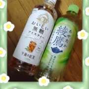 ヒメ日記 2025/07/23 08:11 投稿 にゃん 熟女の風俗最終章 宇都宮店