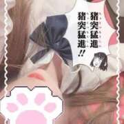 ヒメ日記 2025/09/23 21:41 投稿 ☆あき 萌えコス