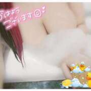 ヒメ日記 2025/05/16 13:49 投稿 あきほ 白いぽっちゃりさん五反田店