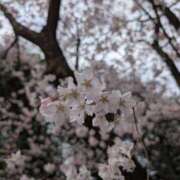 ヒメ日記 2025/04/07 10:24 投稿 ゆきの 熟女の風俗最終章 仙台店