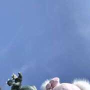 ことり ことり（エコ難波店） スピードエコ難波店