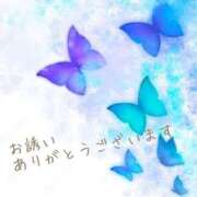 ヒメ日記 2025/07/12 22:47 投稿 いろは 長崎佐世保ちゃんこ