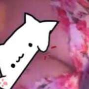 ヒメ日記 2025/05/15 16:00 投稿 きらり 風俗の神様　浜松店