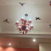 ヒメ日記 2025/06/16 00:20 投稿 きらり 風俗の神様　浜松店