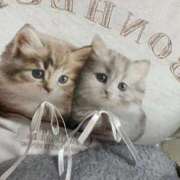 ヒメ日記 2025/08/27 20:10 投稿 きらり 風俗の神様　浜松店