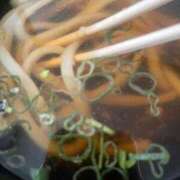 ヒメ日記 2025/09/21 15:20 投稿 きらり 風俗の神様　浜松店