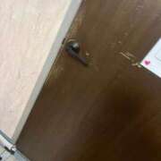 ヒメ日記 2025/11/21 17:50 投稿 きらり 風俗の神様　浜松店