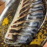 ヒメ日記 2025/11/29 17:00 投稿 きらり 風俗の神様　浜松店