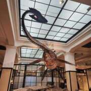 ヒメ日記 2025/02/08 08:51 投稿 一宮里絵 お色気物語（横浜ハレ系）