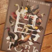ヒメ日記 2025/02/08 22:58 投稿 一宮里絵 お色気物語（横浜ハレ系）
