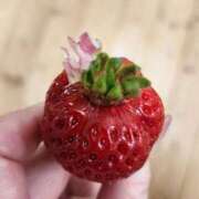 ヒメ日記 2025/03/04 09:41 投稿 一宮里絵 お色気物語（横浜ハレ系）