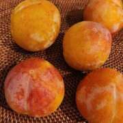 ヒメ日記 2025/10/10 15:31 投稿 一宮里絵 お色気物語（横浜ハレ系）