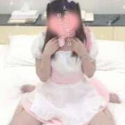 ヒメ日記 2025/04/04 19:01 投稿 らん ROYAL STAR