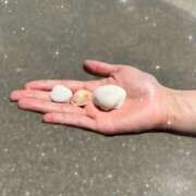 ヒメ日記 2025/08/04 18:36 投稿 らん ROYAL STAR