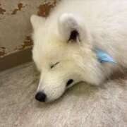 ヒメ日記 2025/10/22 17:43 投稿 らん ROYAL STAR