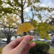 ヒメ日記 2025/11/18 19:42 投稿 らん ROYAL STAR