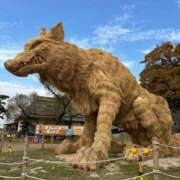 ヒメ日記 2025/11/22 02:14 投稿 らん ROYAL STAR