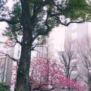 ヒメ日記 2025/03/11 20:18 投稿 せいこ 熟女デリヘル秘宝館Z