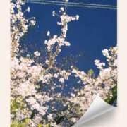 ヒメ日記 2025/04/02 20:19 投稿 せいこ 熟女デリヘル秘宝館Z