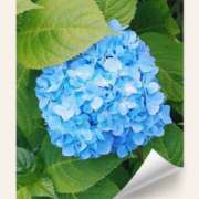 ヒメ日記 2025/05/31 17:59 投稿 せいこ 熟女デリヘル秘宝館Z