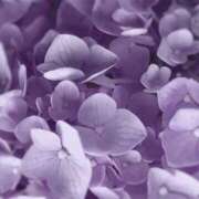 ヒメ日記 2025/06/17 22:23 投稿 せいこ 熟女デリヘル秘宝館Z