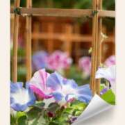 ヒメ日記 2025/07/01 18:10 投稿 せいこ 熟女デリヘル秘宝館Z