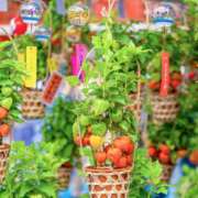 ヒメ日記 2025/07/09 10:09 投稿 せいこ 熟女デリヘル秘宝館Z