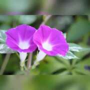 ヒメ日記 2025/08/05 13:02 投稿 せいこ 熟女デリヘル秘宝館Z