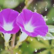 ヒメ日記 2025/08/10 09:03 投稿 せいこ 熟女デリヘル秘宝館Z