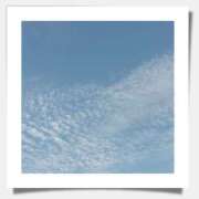 ヒメ日記 2025/08/30 19:49 投稿 せいこ 熟女デリヘル秘宝館Z