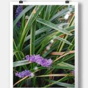 ヒメ日記 2025/10/16 12:08 投稿 せいこ 熟女デリヘル秘宝館Z