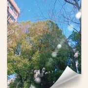 ヒメ日記 2026/03/05 20:50 投稿 せいこ 熟女デリヘル秘宝館Z