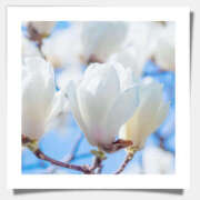 ヒメ日記 2026/03/10 19:30 投稿 せいこ 熟女デリヘル秘宝館Z