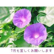 ヒメ日記 2026/07/02 20:40 投稿 せいこ 熟女デリヘル秘宝館Z