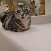 ヒメ日記 2025/12/20 23:49 投稿 りんご デリバリーヘルス熊本インターちゃんこ