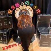 ヒメ日記 2025/09/21 12:56 投稿 るる 変態なんでも鑑定団