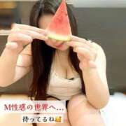 ヒメ日記 2025/10/03 17:46 投稿 るる 変態なんでも鑑定団