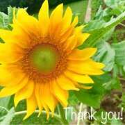 ヒメ日記 2025/07/07 21:08 投稿 あまね おふくろさんYO!!大和店