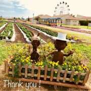 ヒメ日記 2025/07/28 21:38 投稿 あまね おふくろさんYO!!大和店