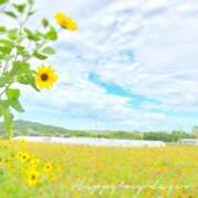 ヒメ日記 2025/08/02 10:38 投稿 あまね おふくろさんYO!!大和店