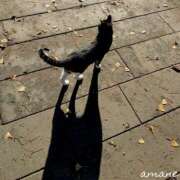 ヒメ日記 2025/10/13 20:28 投稿 あまね おふくろさんYO!!大和店