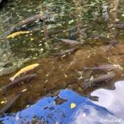 ヒメ日記 2025/10/29 20:18 投稿 あまね おふくろさんYO!!大和店