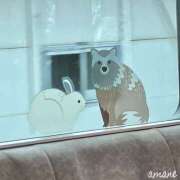 ヒメ日記 2026/02/09 20:18 投稿 あまね おふくろさんYO!!大和店