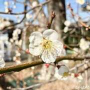 ヒメ日記 2026/02/12 00:28 投稿 あまね おふくろさんYO!!大和店