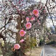 ヒメ日記 2026/02/23 20:38 投稿 あまね おふくろさんYO!!大和店